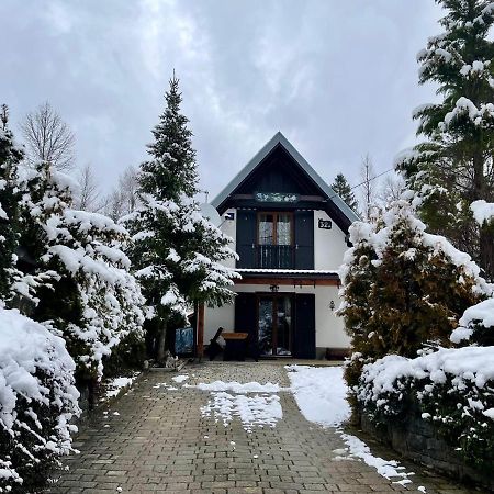 צרני לוג Chalet House Olga מראה חיצוני תמונה